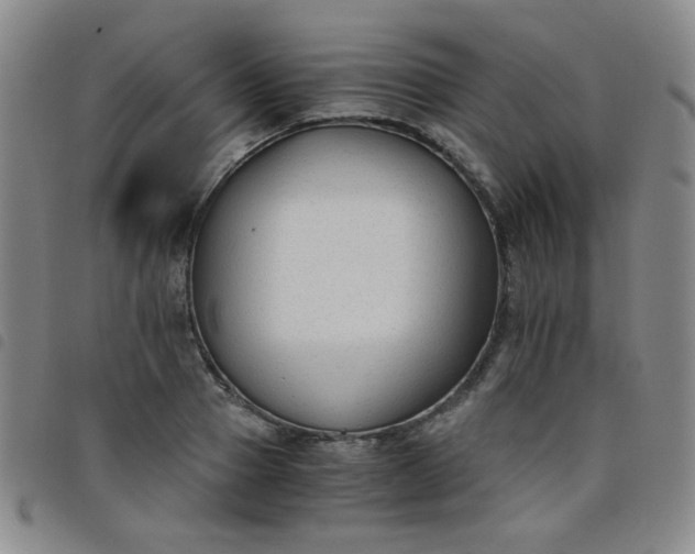 X0000098140937200804241711