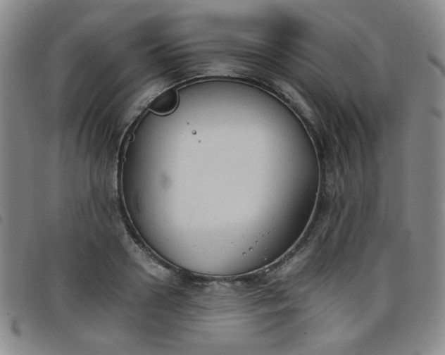 X0000098140938200804241711