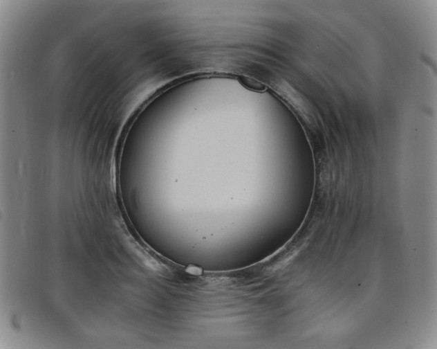 X0000098140940200804241711
