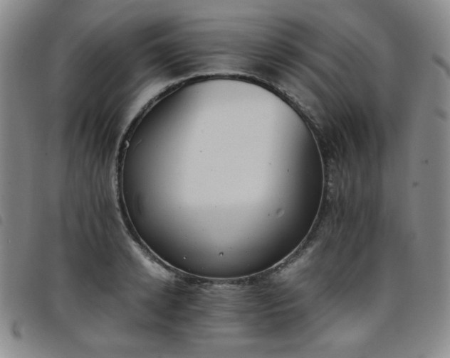 X0000098140942200804241711