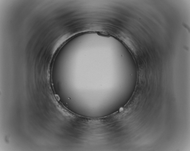 X0000098140944200804241711