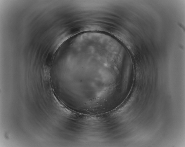 X0000098140945200804241711