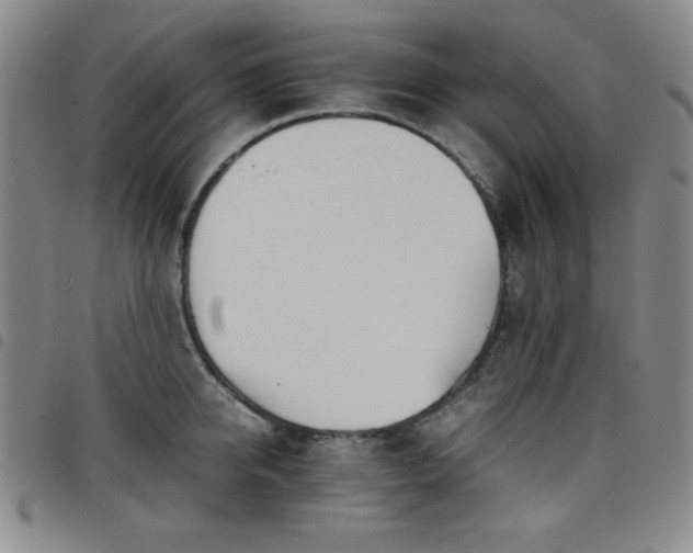 X0000098140950200804241711