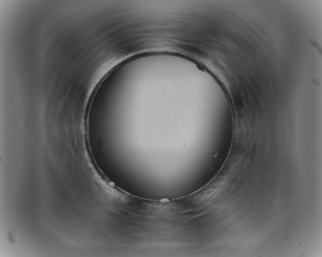 X0000098140951200804241711