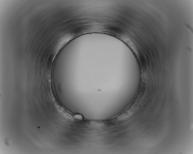 X0000098140954200804241711