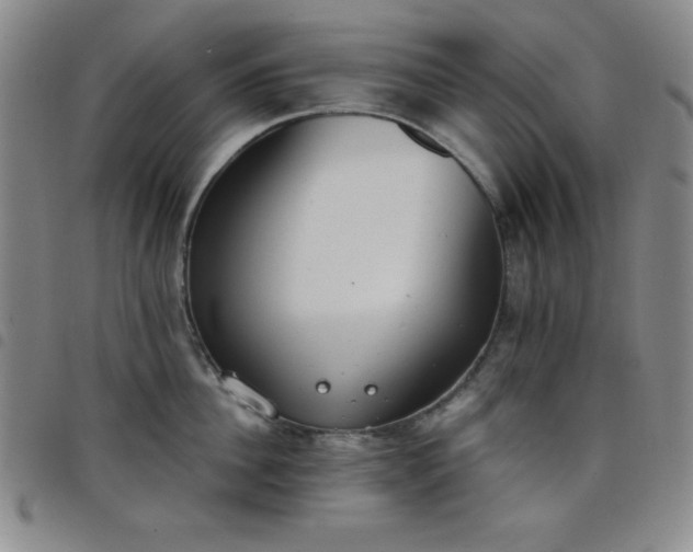 X0000098140956200804241711