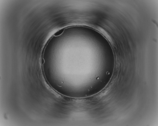 X0000098140958200804241711