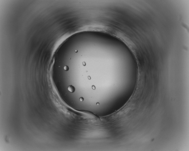 X0000098140960200804241711