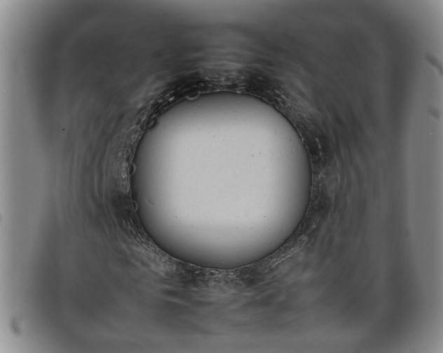 X0000098140961200804241710