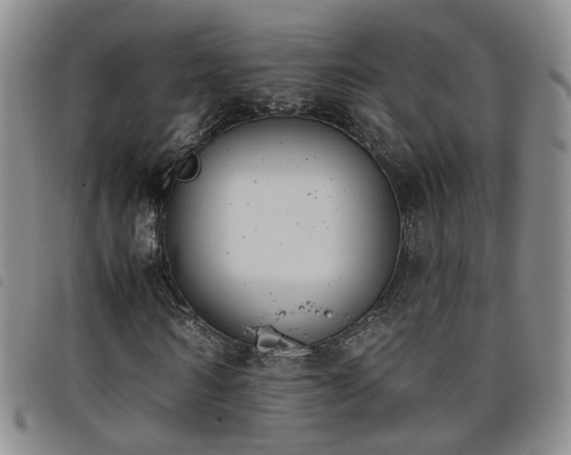 X0000098140962200804241710