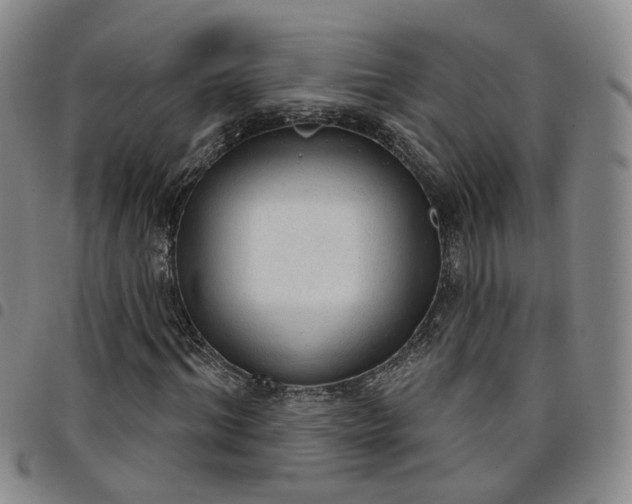 X0000098140964200804241710