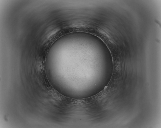 X0000098140966200804241710