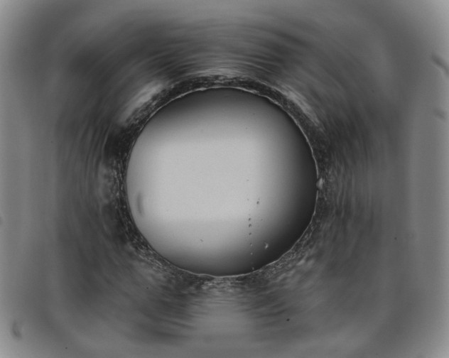 X0000098140967200804241710