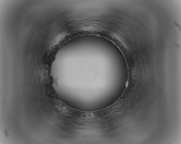 X0000098140968200804241710