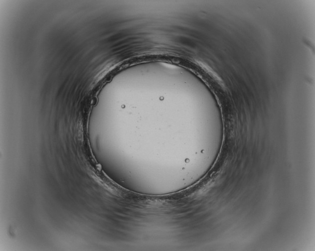 X0000098140969200804241710