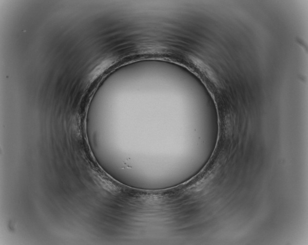 X0000098140970200804241710