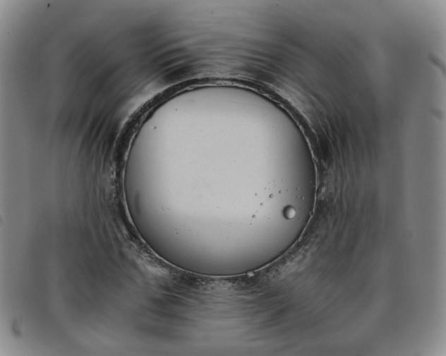 X0000098140971200804241710