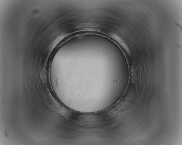 X0000098140972200804241710