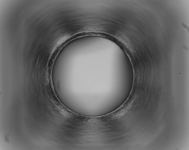 X0000098140974200804241710