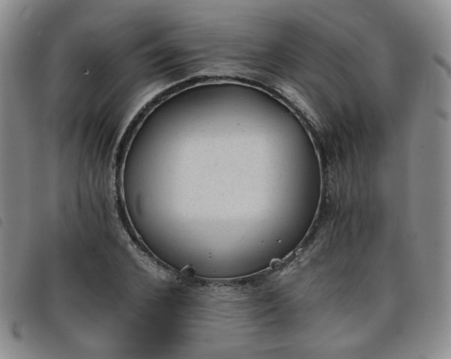 X0000098140976200804241710
