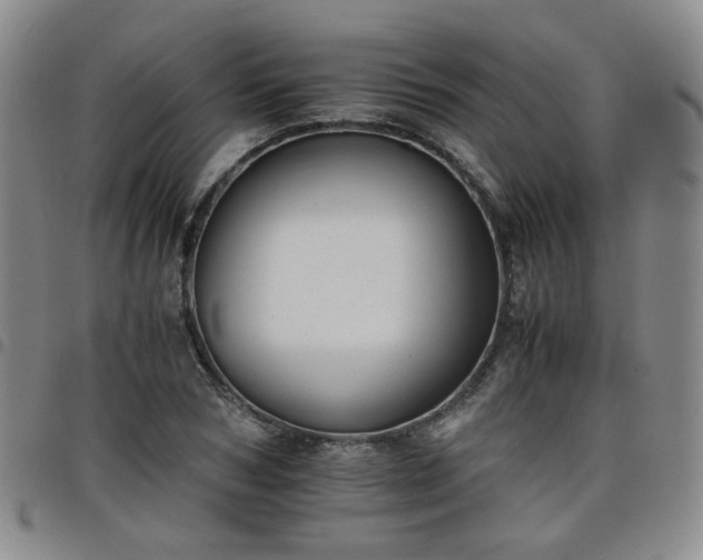 X0000098140978200804241710