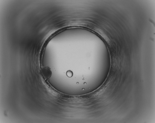 X0000098140980200804241710