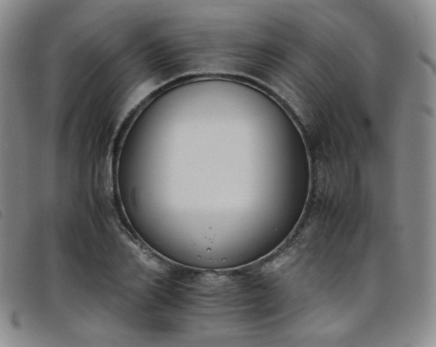 X0000098140982200804241710