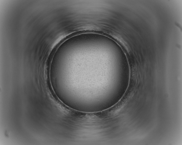 X0000098140983200804241710
