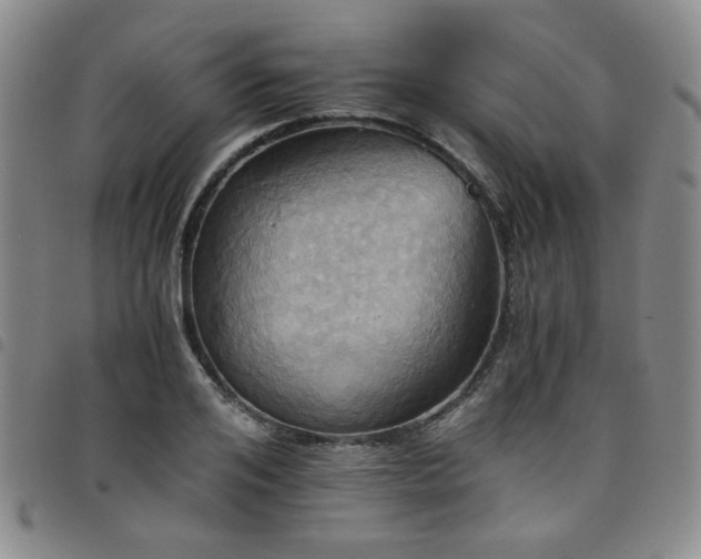 X0000098140984200804241710