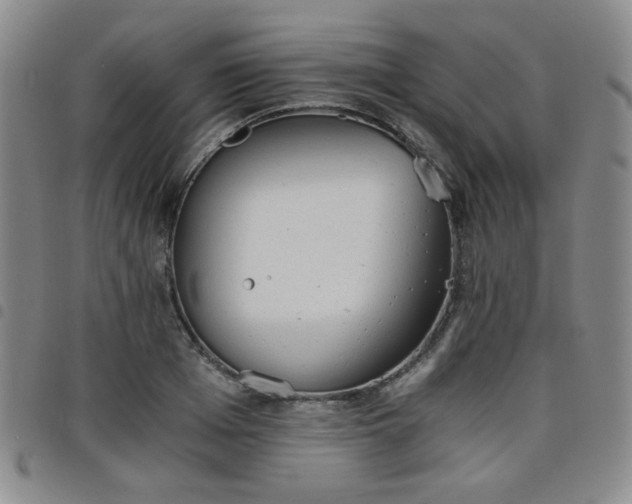 X0000098140985200804241710