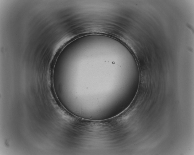 X0000098140987200804241710