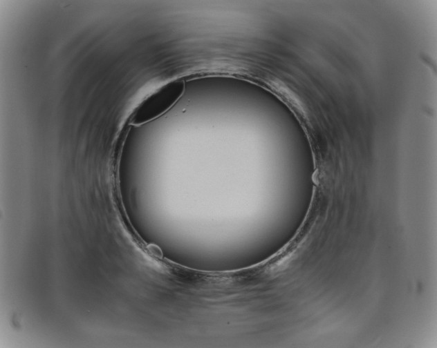 X0000098140989200804241710