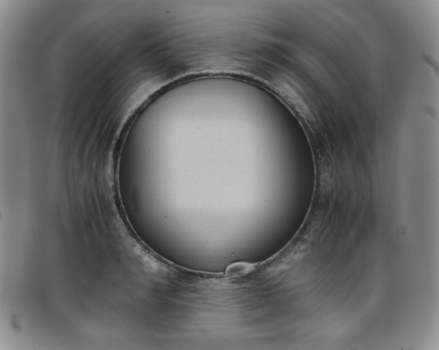 X0000098140990200804241710