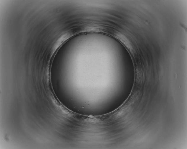 X0000098140994200804241710