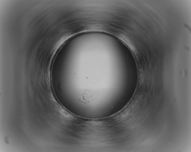 X0000098140996200804241710