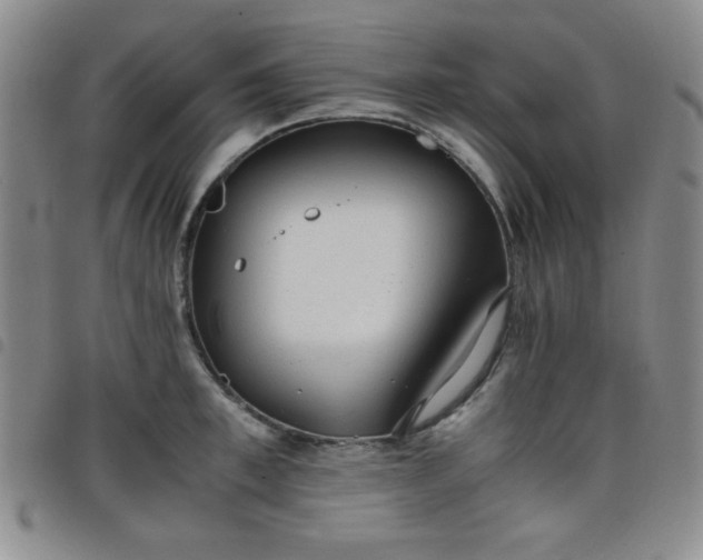 X0000098140997200804241710