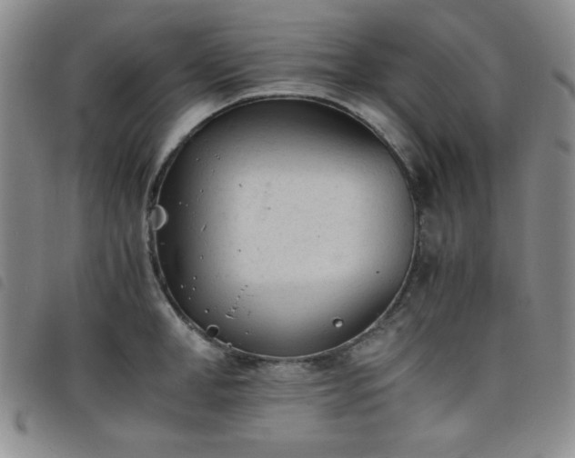 X0000098140998200804241710