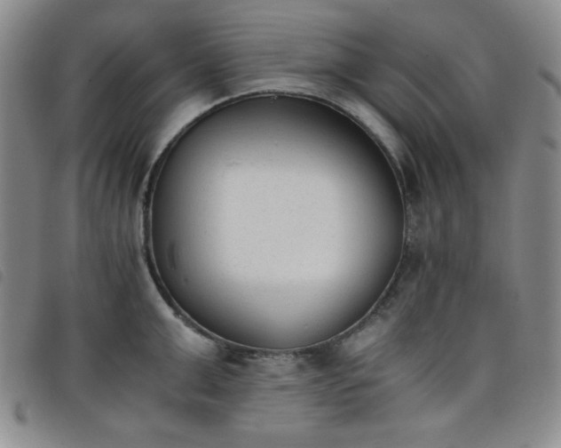 X0000098140999200804241710