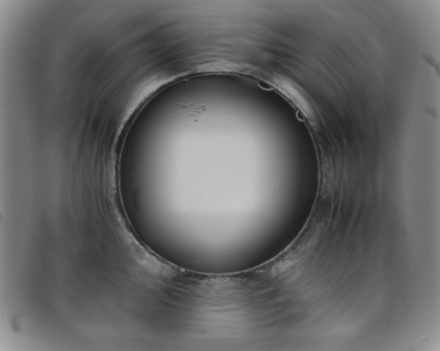 X0000098141000200804241710