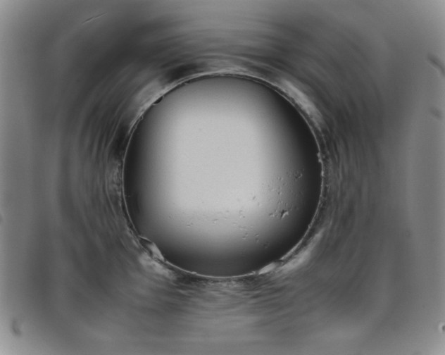 X0000098141001200804241710