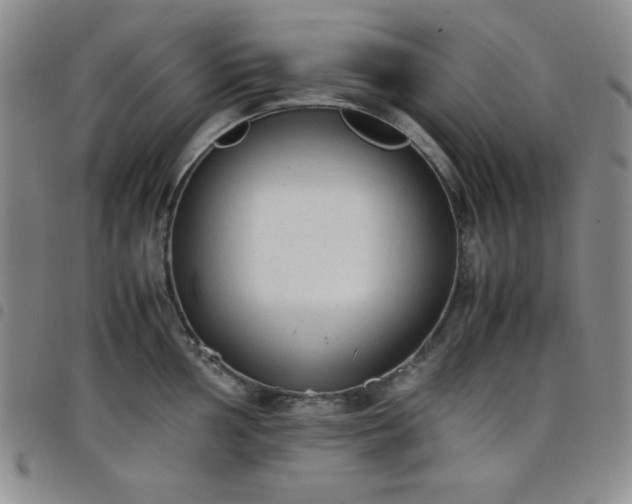 X0000098141002200804241710