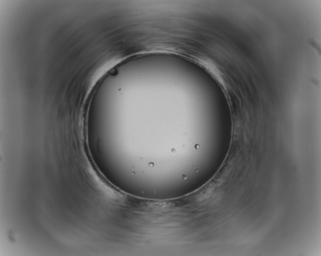 X0000098141003200804241710