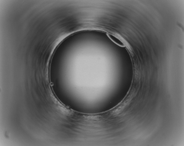 X0000098141004200804241710