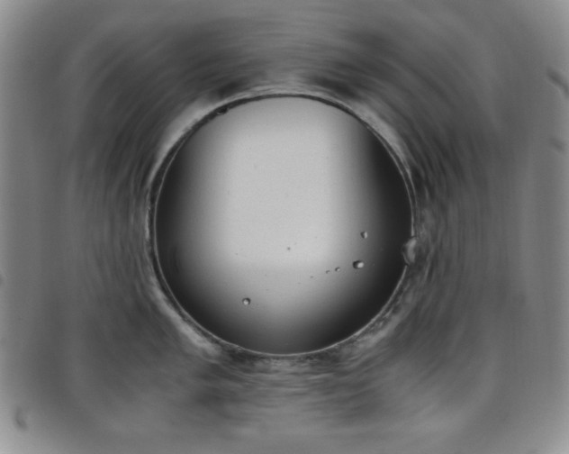 X0000098141005200804241710