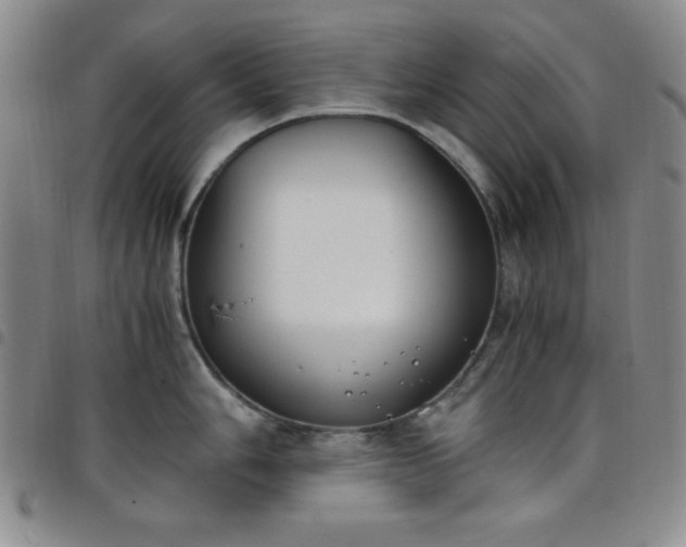 X0000098141006200804241710