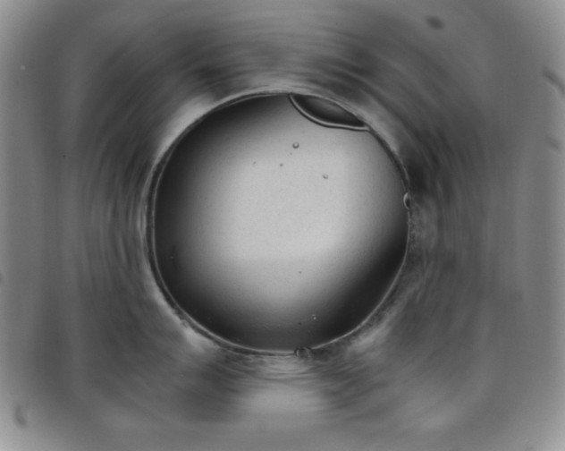 X0000098141007200804241710