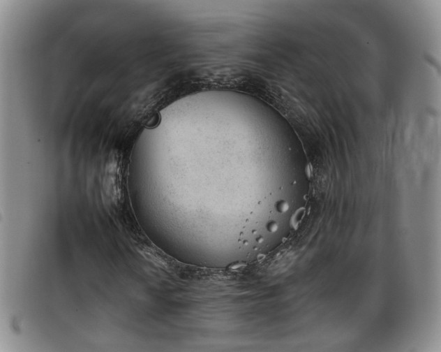X0000098141010200804241709