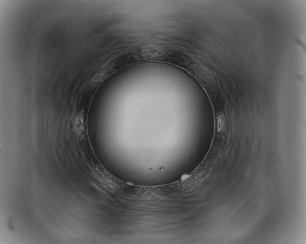X0000098141011200804241709