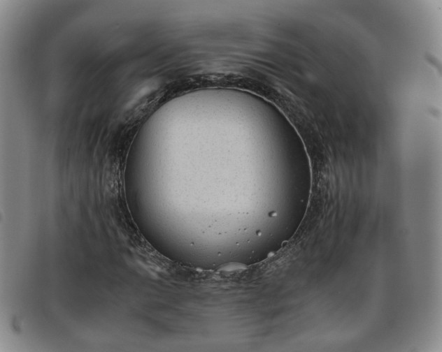 X0000098141014200804241709