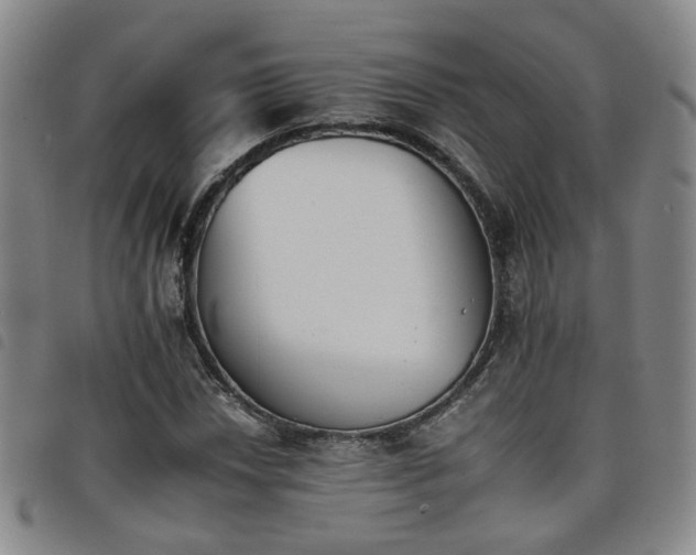 X0000098141018200804241709